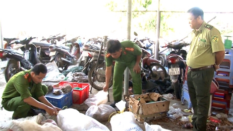 Chủ trại nuôi nhốt động vật hoang dã tử vong trong tư thế treo cổ