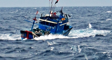 Tàu cá bị chìm khiến 5 người chết và mất tích không trình báo khi rời cảng 