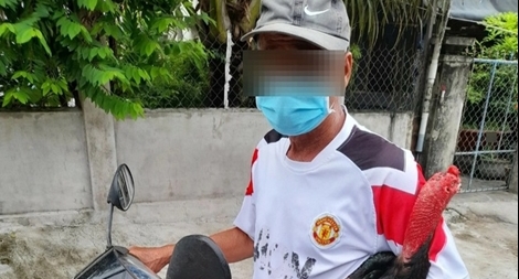 Bị xử phạt 2 triệu đồng khi ôm gà đi ngoài đường 