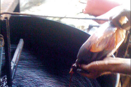 Phát hiện 2 mẫu cà phê không có chất cafein