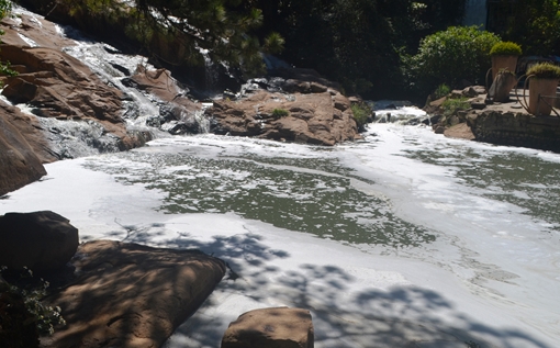 Thác Cam Ly đang chết vì “trúng độc”