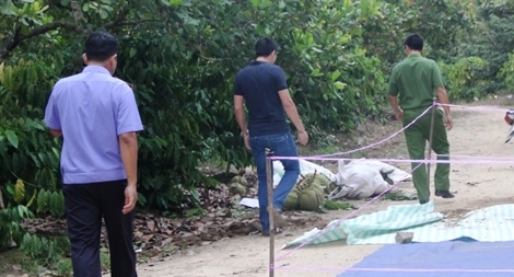 Chém chết kẻ trộm rồi về nhà uống thuốc sâu tự tử