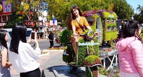 Đà Lạt rực rỡ trước giờ khai mạc Festival hoa