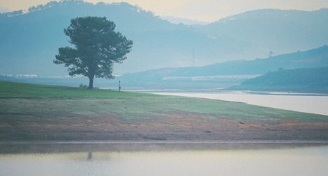 Tự tử vì không có tiền chữa bệnh