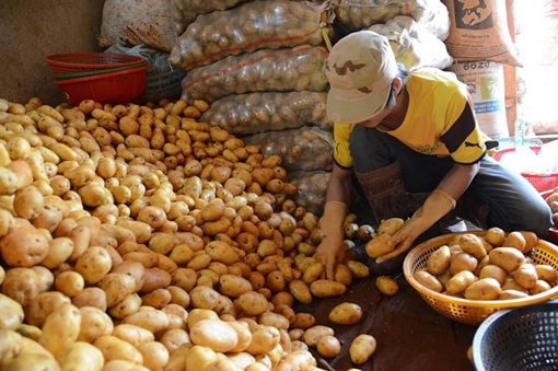 Cấm đưa nông sản Trung Quốc vào chợ nông sản Đà Lạt