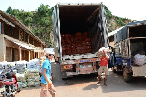 Đà Lạt công khai 17 cơ sở kinh doanh nông sản Trung Quốc