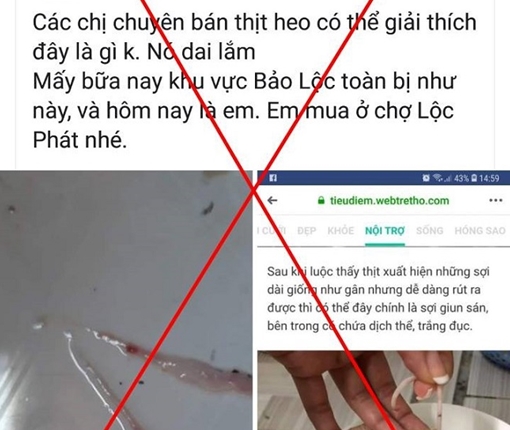 Bị phạt 10 triệu đồng vì tung tin sai sự thật thịt heo nhiễm sán 