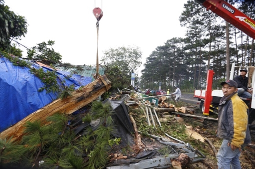 Sét đánh nát cây thông giữa Đà Lạt, 4 người thoát chết