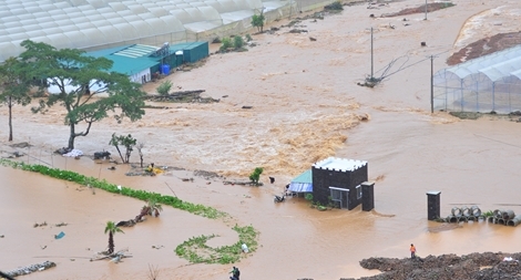 Đau đớn nhìn trại cá tầm 300 tấn trị giá 52 tỷ trôi theo dòng lũ