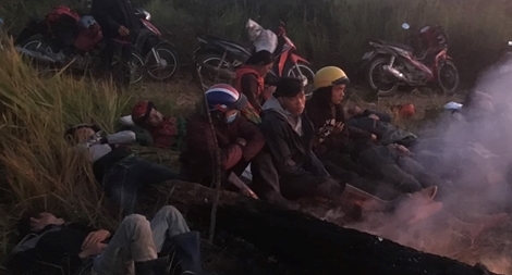 Nhiều người đổ vào rừng tìm cây giống sâm Ngọc Linh