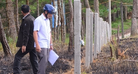 Táo tợn phân lô bán đất rừng ở Đà Lạt