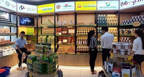 Đưa nông sản Đà Lạt sạch đến người tiêu dùng Cần Thơ