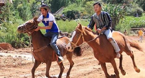 Sôi nổi giải đua ngựa không yên trên xứ Langbiang