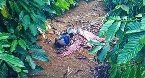 Bắt đối tượng giết người chôn xác trong rẫy cà phê