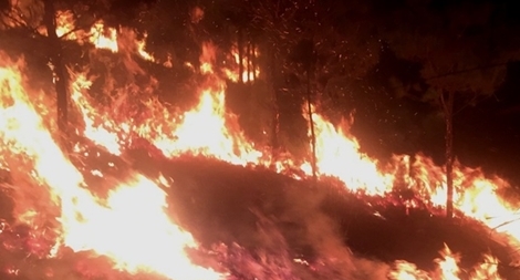 Trắng đêm dập lửa cứu rừng thông