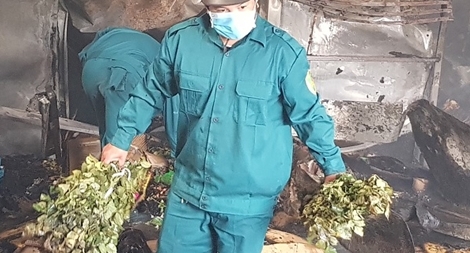 Hỏa hoạn thiêu rụi kho chứa hoa hồng trước lễ 8-3