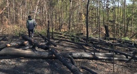 Công an làm rõ thông tin báo chí phản ánh về phá rừng
