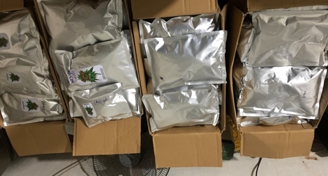 Phát hiện “xưởng” chế biến, đóng gói cần sa quy mô lớn