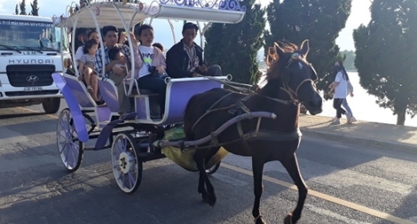 Nhiều người đi du lịch Đà Lạt chủ quan với COVID-19