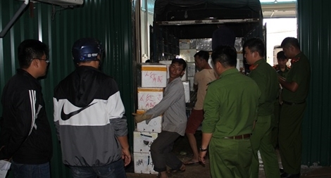 Trắng đêm bắt giữ dâu tây Trung Quốc tuồn vào Đà Lạt 