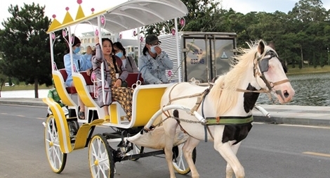 Khách hủy trên 16.000 phòng, Đà Lạt mất 19 tỷ đồng