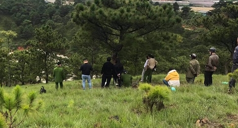 Cô gái trẻ tử vong gần cây thông cô đơn Đà Lạt