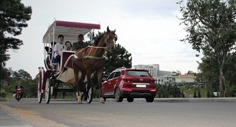 Đà Lạt thiệt hại 26 tỷ đồng do khách hủy phòng
