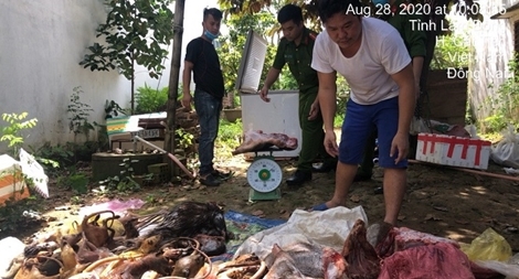 Phát hiện nhiều động vật quý hiếm, nguy cấp trong tủ đông