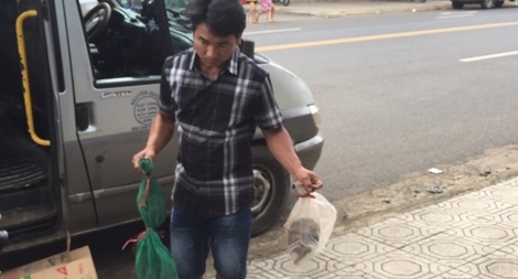 Phát hiện xe khách chở động vật quý hiếm, nguy cấp