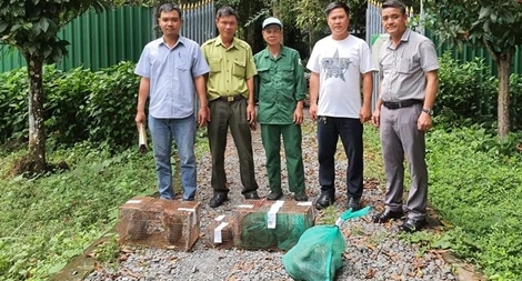 Công an bàn giao động vật hoang dã cho VQG Cát Tiên
