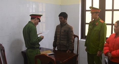 Bắt tạm giam lâm tặc chặt hạ gần 100 cây thông