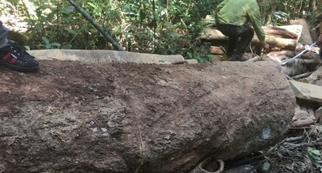 Khởi tố 3 lâm tặc ở Lâm Đồng