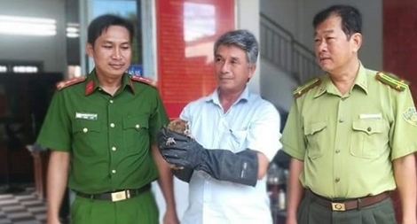 Được biếu thú quý hiếm, trưởng Công an huyện bàn giao cho VQG Cát Tiên