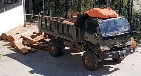 Điều tra nguồn gốc 50 phách gỗ lậu trên xe ôtô