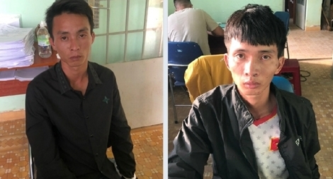 Hai anh em ruột rủ nhau đi trộm bò