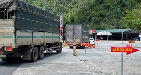 Lâm Đồng ưu tiên tiêm vaccine cho tài xế, phụ xe vận tải hàng hóa