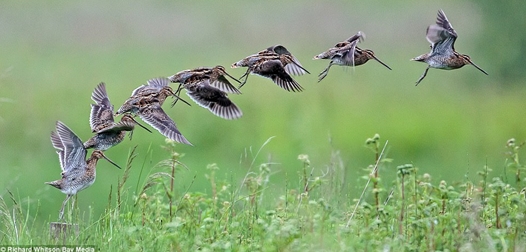 Vẻ đẹp bất tận và đầy xúc cảm của thiên nhiên nước Anh 