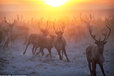 Những khoảnh khắc đắt giá của bộ lạc du mục tại "nơi tận cùng thế giới"