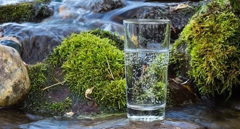 Thung lũng Silicon "phát sốt" vì trào lưu ... uống nước suối chưa lọc