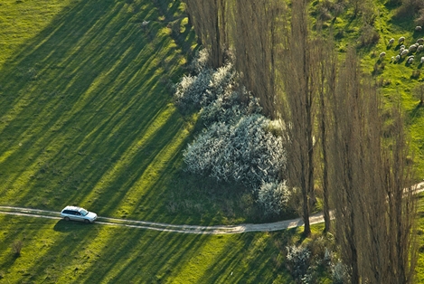 "Vũ điệu Xuân" tại Crimea: Thăng hoa từ những chồi non xanh mướt