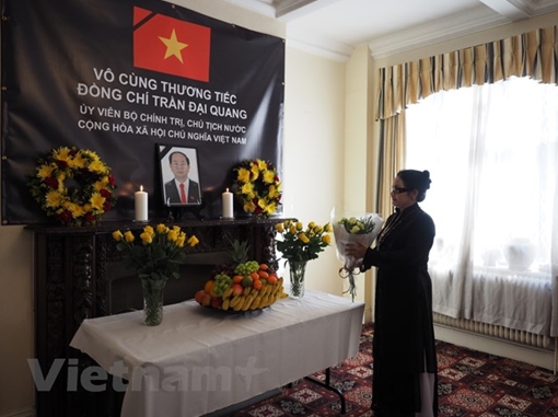 Kiểu bào tới viếng Chủ tịch nước Trần Đại Quang tại các Đại sứ quán ở nước ngoài 