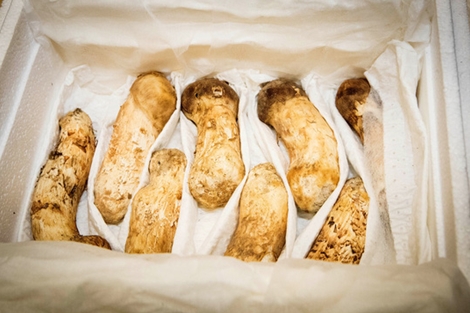 Hàn Quốc xử trí ra sao với món quà "1,5 tỉ won" từ Triều Tiên?