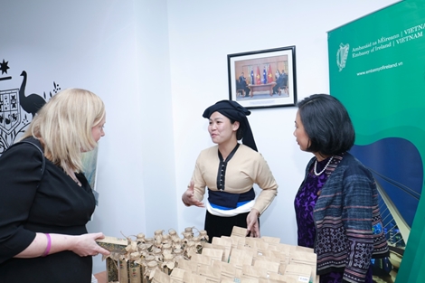 Phát động cuộc thi thúc đẩy công nghệ, cải thiện cuộc sống phụ nữ nông thôn