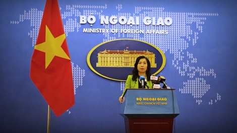 Việt Nam lên tiếng về việc tuyên phạt và thi hành án tử hình