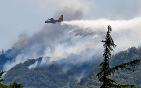 Nướng BBQ nhưng lại cháy rừng, hai sinh viên Italia lĩnh phạt chục triệu USD