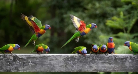 Phát hiện giá trị về "câu lạc bộ tỷ dân" từ các nhà khoa học