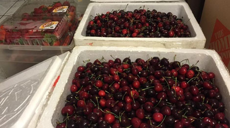 Hư thực câu chuyện cherry bị móc trộm tại Sân bay Nội Bài