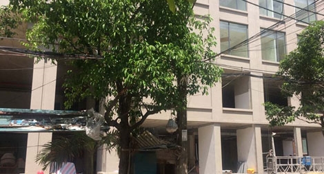 Không để chuyện vi phạm của chủ đầu tư ảnh hưởng đến quyền lợi của người mua nhà