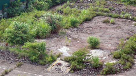 Thu hồi đất, đấu giá quyền sử dụng đất theo quy định pháp luật