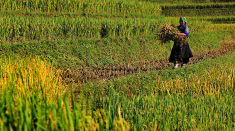 Ngành Nông nghiệp cần thay đổi tư duy sản xuất